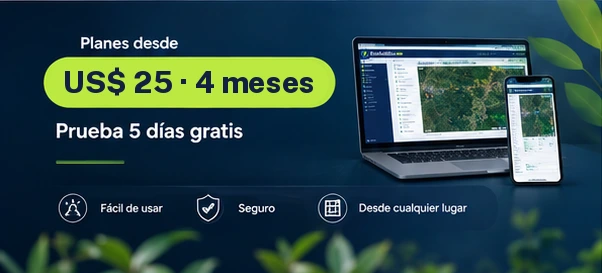 Planes desde US$25 cada 4 meses, prueba 5 días gratis
